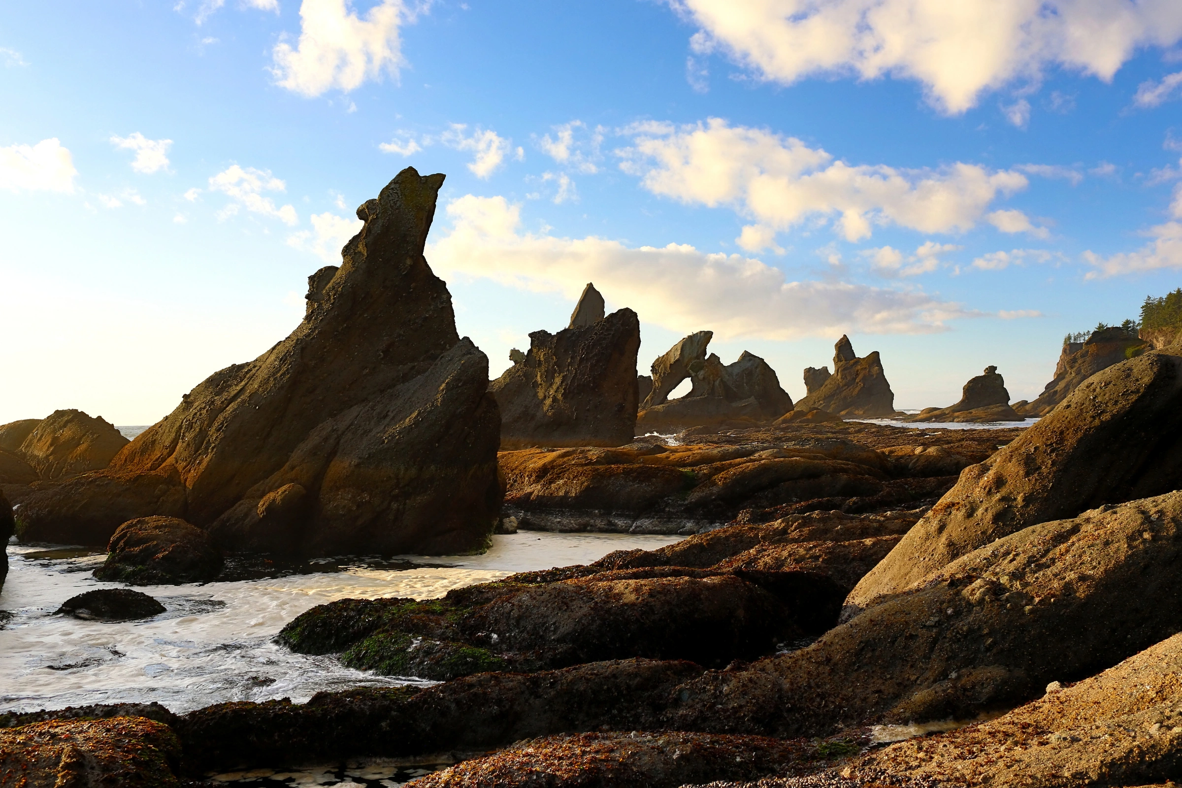 Olympic_National_Park,_Washington[1].webp